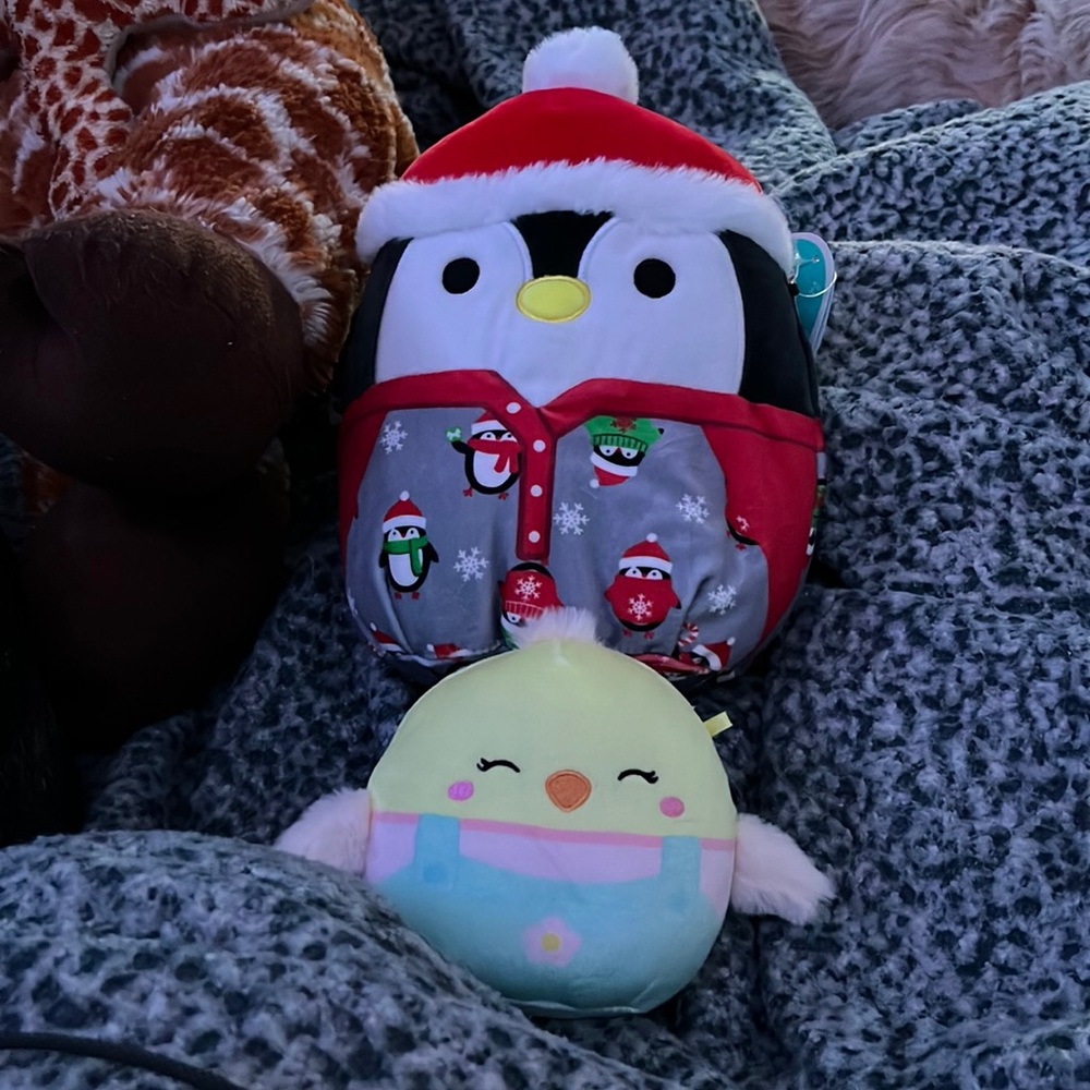 Squishmallow Set